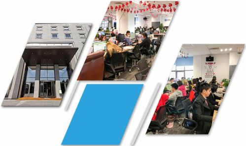 森歌網(wǎng)絡 專注SEO營銷推廣，以全方位網(wǎng)絡文化經(jīng)營賦能企業(yè)品牌高效傳播